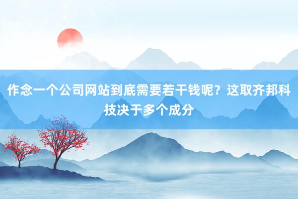 作念一个公司网站到底需要若干钱呢？这取齐邦科技决于多个成分